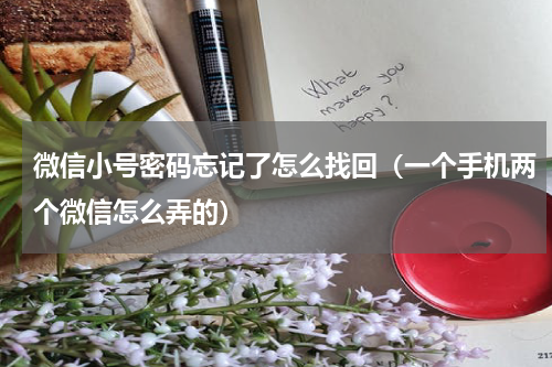 微信小号密码忘记了怎么找回（一个手机两个微信怎么弄的）
