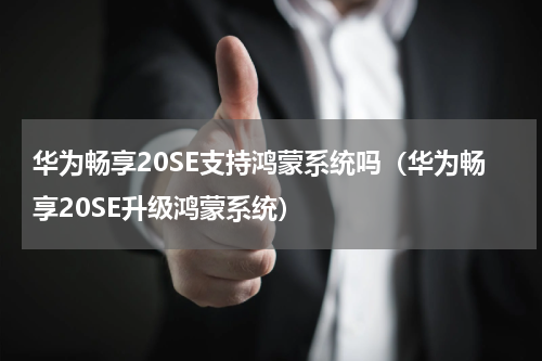 华为畅享20SE支持鸿蒙系统吗（华为畅享20SE升级鸿蒙系统）