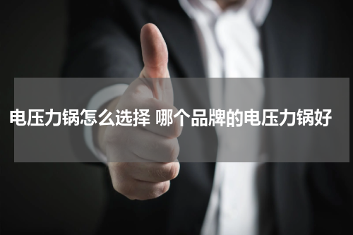 电压力锅怎么选择 哪个品牌的电压力锅好
