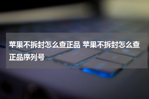 苹果不拆封怎么查正品 苹果不拆封怎么查正品序列号