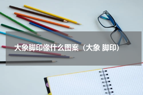 大象脚印像什么图案（大象 脚印）