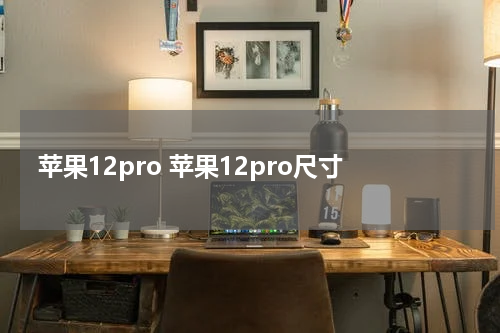 苹果12pro 苹果12pro尺寸