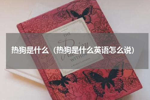 热狗是什么（热狗是什么英语怎么说）