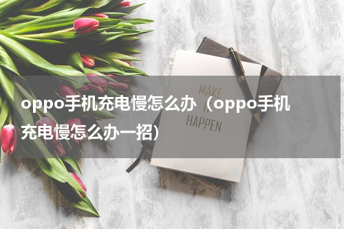 oppo手机充电慢怎么办（oppo手机充电慢怎么办一招）