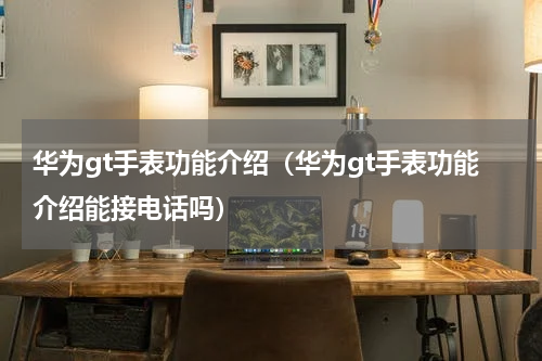 华为gt手表功能介绍（华为gt手表功能介绍能接电话吗）