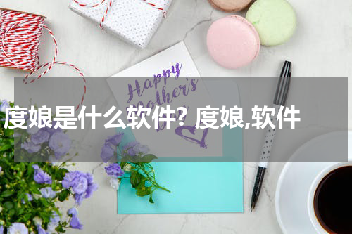 度娘是什么软件? 度娘,软件
