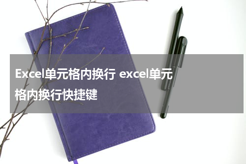 Excel单元格内换行 excel单元格内换行快捷键