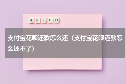 支付宝花呗还款怎么还（支付宝花呗还款怎么还不了）
