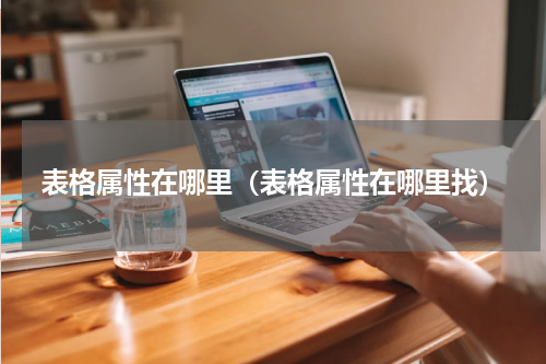 表格属性在哪里（表格属性在哪里找）