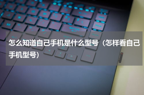 怎么知道自己手机是什么型号（怎样看自己手机型号）
