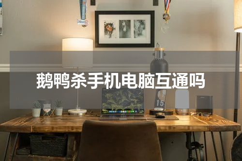 鹅鸭杀手机电脑互通吗