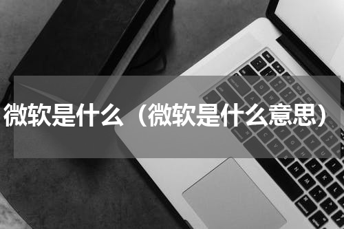 微软是什么（微软是什么意思）
