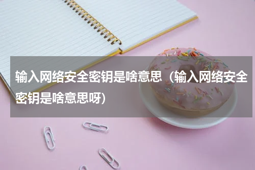 输入网络安全密钥是啥意思（输入网络安全密钥是啥意思呀）