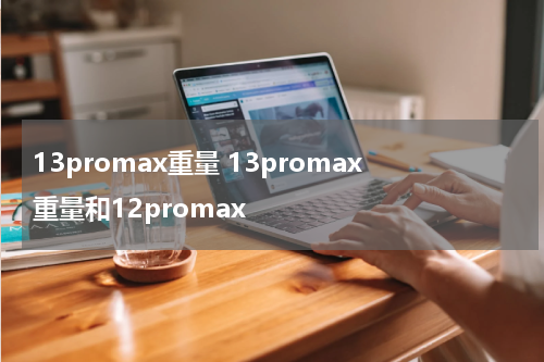 13promax重量 13promax重量和12promax