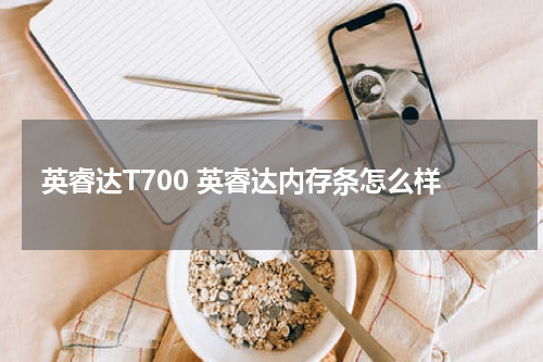 英睿达T700 英睿达内存条怎么样