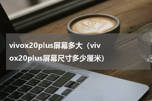 vivox20plus屏幕多大（vivox20plus屏幕尺寸多少厘米）