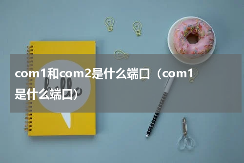 com1和com2是什么端口（com1是什么端口）