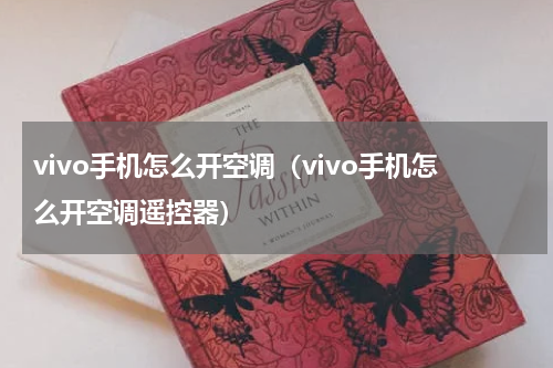 vivo手机怎么开空调（vivo手机怎么开空调遥控器）