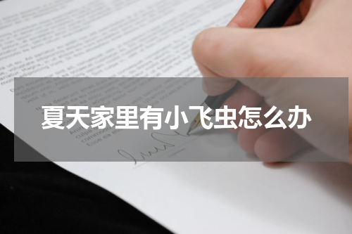 夏天家里有小飞虫怎么办