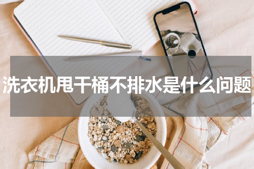 洗衣机甩干桶不排水是什么问题