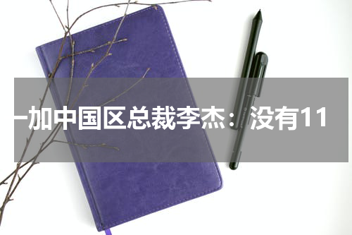 一加中国区总裁李杰：没有11