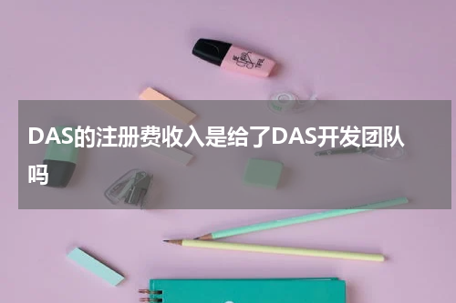 DAS的注册费收入是给了DAS开发团队吗