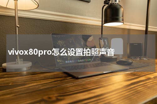 vivox80pro怎么设置拍照声音
