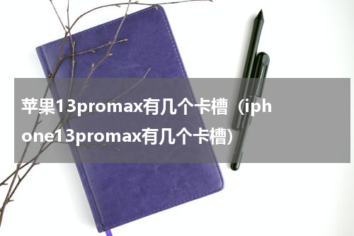 苹果13promax有几个卡槽（iphone13promax有几个卡槽）
