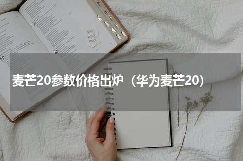 麦芒20参数价格出炉（华为麦芒20）