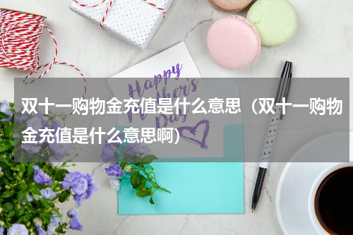 双十一购物金充值是什么意思（双十一购物金充值是什么意思啊）