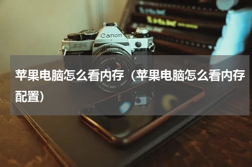 苹果电脑怎么看内存（苹果电脑怎么看内存配置）