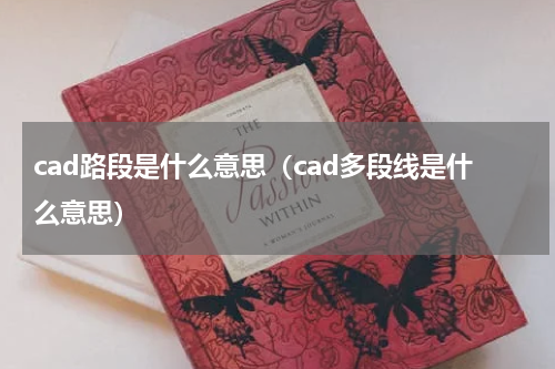 cad路段是什么意思（cad多段线是什么意思）