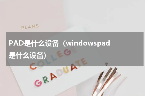 PAD是什么设备（windowspad是什么设备）