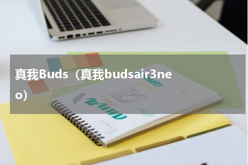 真我Buds（真我budsair3neo）