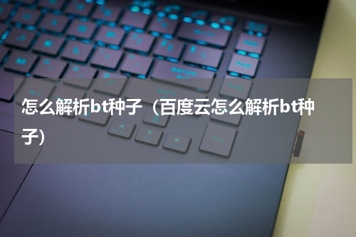 怎么解析bt种子（百度云怎么解析bt种子）