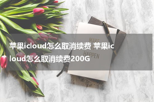 苹果icloud怎么取消续费 苹果icloud怎么取消续费200G