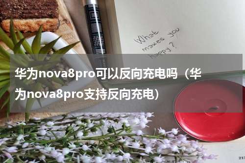 华为nova8pro可以反向充电吗（华为nova8pro支持反向充电）