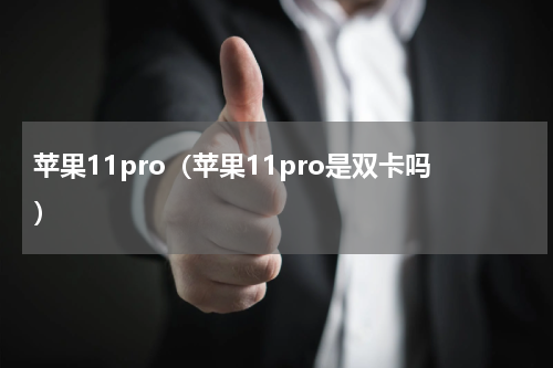苹果11pro（苹果11pro是双卡吗）