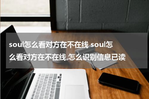 soul怎么看对方在不在线 soul怎么看对方在不在线,怎么识别信息已读