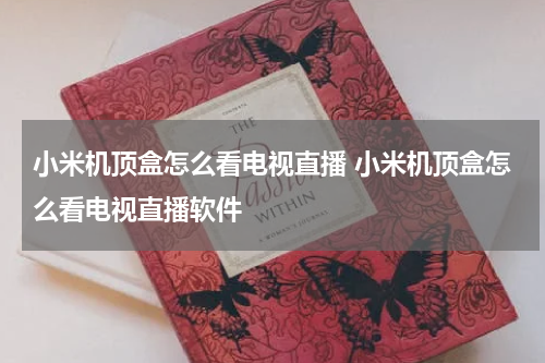 小米机顶盒怎么看电视直播 小米机顶盒怎么看电视直播软件