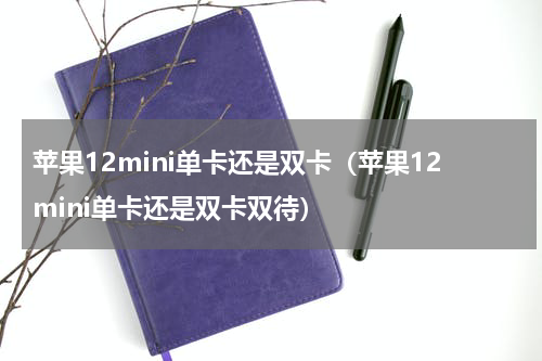 苹果12mini单卡还是双卡（苹果12mini单卡还是双卡双待）