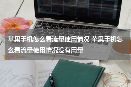 苹果手机怎么看流量使用情况 苹果手机怎么看流量使用情况没有用量