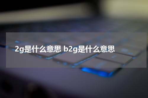 2g是什么意思 b2g是什么意思