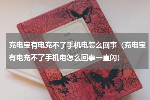 充电宝有电充不了手机电怎么回事（充电宝有电充不了手机电怎么回事一直闪）