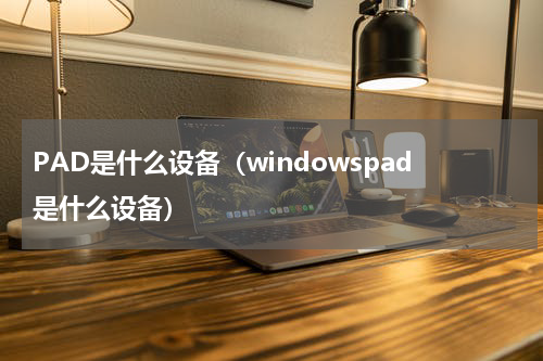 PAD是什么设备（windowspad是什么设备）