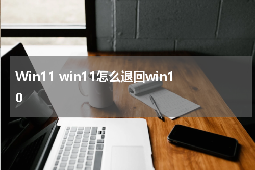 Win11 win11怎么退回win10