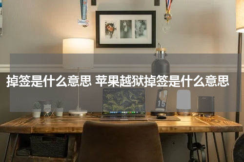 掉签是什么意思 苹果越狱掉签是什么意思