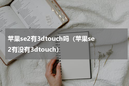 苹果se2有3dtouch吗（苹果se2有没有3dtouch）