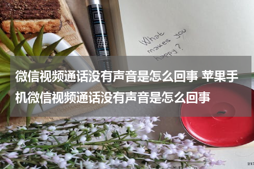 微信视频通话没有声音是怎么回事 苹果手机微信视频通话没有声音是怎么回事