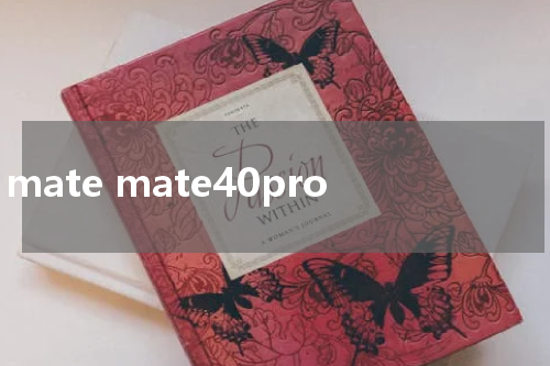 mate mate40pro
